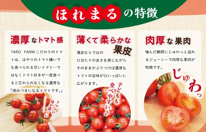 明和町産 完熟 トマト ほれまる とパウンドケーキ の セット 明和町産 完熟 トマト ほれまる とパウンドケーキ の セット