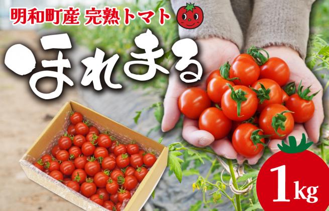 3月発送】 高糖度 ミニトマト スイートベル （ 房どり ） 180g × 10P