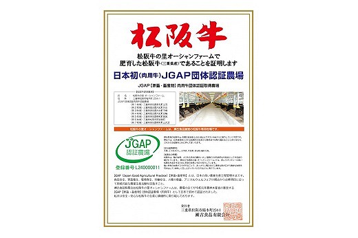 三重県明和町のふるさと納税 J39　松阪牛ナイアガラステーキ300g(2枚)