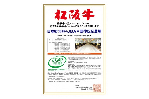 三重県明和町のふるさと納税 家庭用 松阪牛 小間切れ 200g×3P　I90