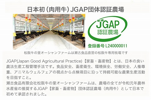 三重県明和町のふるさと納税 家庭用 松阪牛 小間切れ 200g×3P　I90