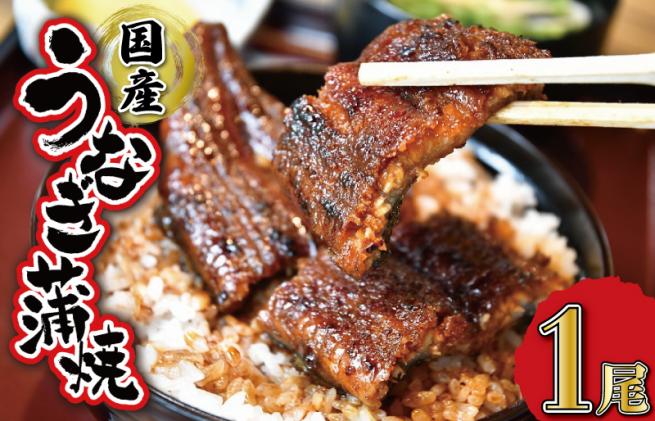 うなぎのかば焼き 1尾入り (タレ2本入り) うな丼 丼 蒲焼 精力 うなぎのかば焼き 1尾入り (タレ2本入り) うな丼 丼 蒲焼 精力