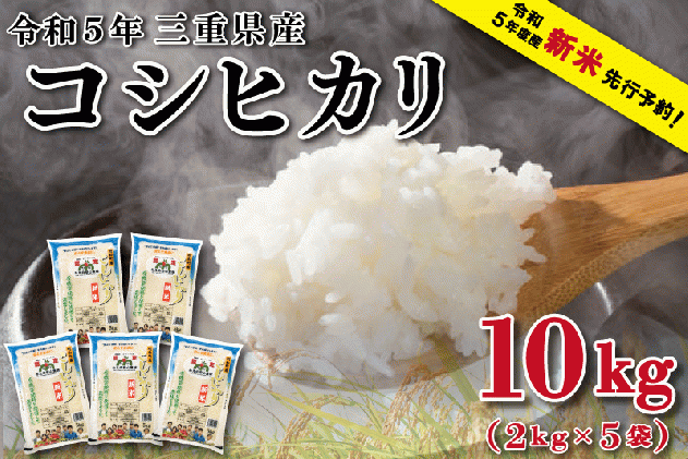 精米済み白米　2023年収穫　新米コシヒカリ10キロ　米　三重県産　お米好き