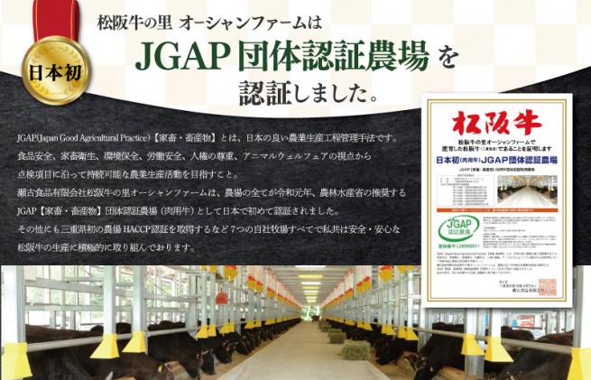 三重県明和町のふるさと納税 松阪牛 入 コロッケ & ミンチカツ 各15個 肉 牛 牛肉 和牛 ブランド牛 高級 国産 霜降り 冷凍 ふるさと 人気 コロッケ メンチカツ 揚げ物 総菜 簡単 時短 揚げるだけ お弁当 弁当 SS22