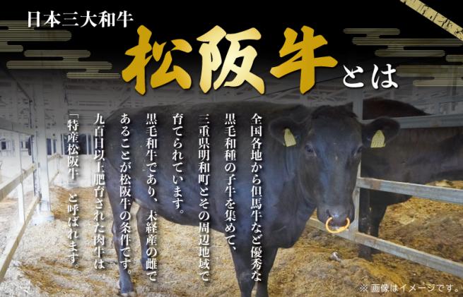 三重県明和町のふるさと納税 【定期便全6回】 家庭用 松阪牛 小間切れ 200g×4p 【受付時期・発送時期限定】 SS10