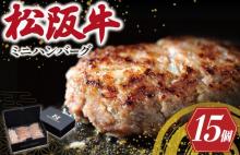 松阪牛入 ミニハンバーグ セット 50g×