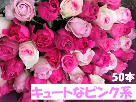 奈良県平群町のふるさと納税 バラの花束⑤50本(ピンク系濃淡)