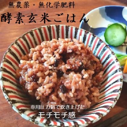 奈良県平群町のふるさと納税 酵素玄米ご飯(長岡式)16個