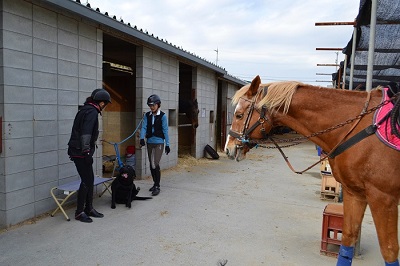 奈良県平群町のふるさと納税 体験乗馬