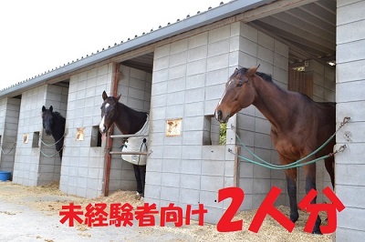 奈良県平群町のふるさと納税 体験乗馬(2人分)