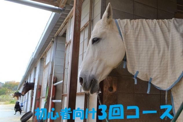 奈良県平群町のふるさと納税 乗馬教室(3回コース)