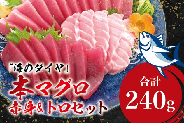 ＼年末発送!お正月に/本マグロ(養殖)トロ&赤身セット 240g 【12/25～12/29発送】高級 クロマグロ 中トロ 中とろ まぐろ マグロ 鮪  刺身 赤身 柵 じゃばらまぐろ 本マグロ 本鮪|