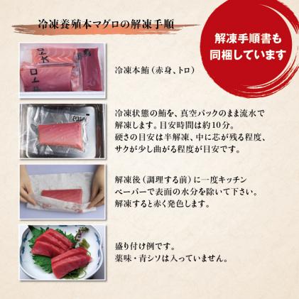 プレミア和歌山認証品 本マグロ(養殖)トロ&赤身セット　3kg 【1か月以内に発送】 まぐろ 刺身 鮪 本鮪 クロマグロ 赤身 中とろ 大容量  まぐろたたき まぐろ丼|