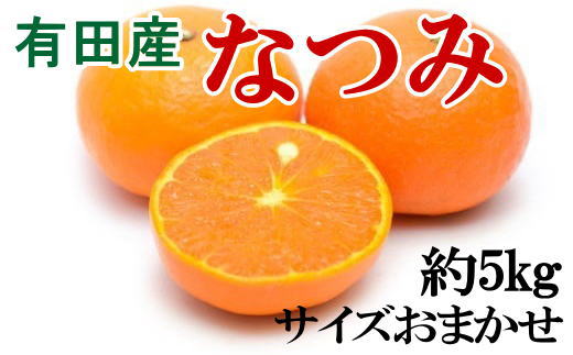 [希少柑橘]和歌山産なつみ約5kg(S〜2Lサイズおまかせ)
