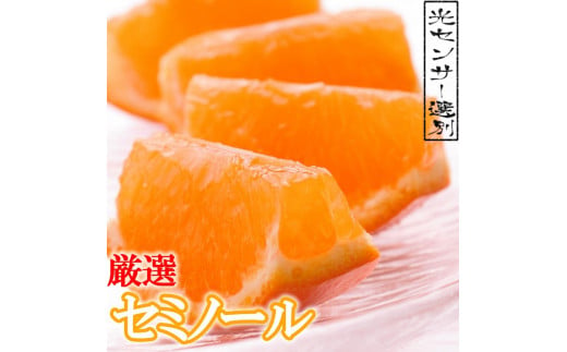 [4月より発送]厳選セミノールオレンジ3kg+90g(傷み補償分)[春みかん][有田産][光センサー食べ頃出荷]