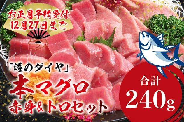 ＼年末発送!お正月に/本マグロ(養殖)トロ&赤身セット 240g 【12/25～12/29発送】高級 クロマグロ 中トロ 中とろ まぐろ マグロ 鮪  刺身 赤身 柵 じゃばらまぐろ 本マグロ 本鮪|