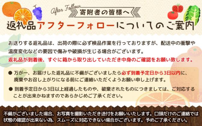 濃厚】和歌山県産ネーブルオレンジ 15玉～27玉(L～4Lサイズおまかせ