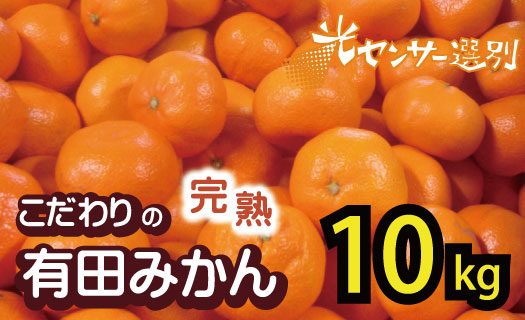 2024年11月発送予約分】【農家直送】【家庭用】こだわりの有田みかん