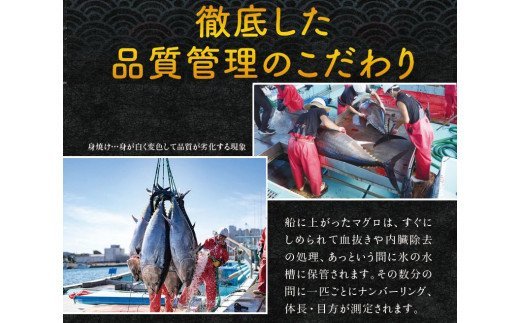 和歌山県太地町のふるさと納税 本マグロ(養殖)トロ&赤身セット 3kg【通常発送】