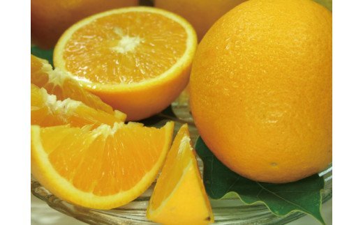 有田　田村のこだわり美味しい青バレンシアオレンジ　5キロ贈答用