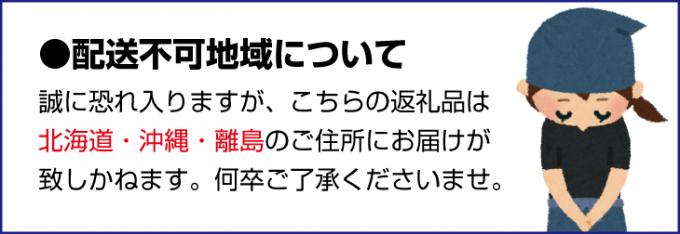 産直・人気の特産品】和歌山の桃 約4kg・秀選品(2024年度発送分)※2024