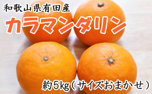 和歌山県有田産カラマンダリン約5kg(サイズおまかせ)※2024年4月上旬～4月下旬頃に発送(お届け日指定不可)|