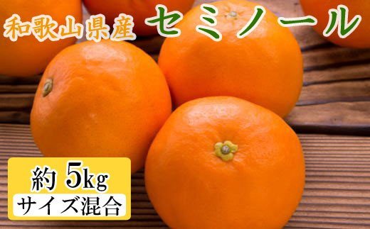 和歌山県由良町産セミノールオレンジ約5kg(サイズ混合 秀品)