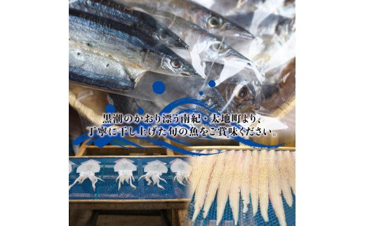 干物セット 大容量でアジ さんま カマスが届く 定番干物24枚セット ひもの 詰め合わせ 干物 さんま サンマ アジ あじ カマス かます|