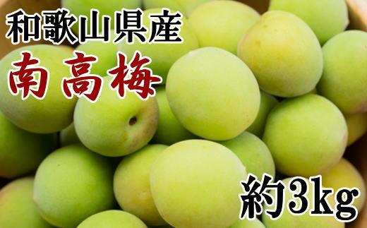 和歌山名産】南高梅約3kg(サイズ混合)・秀品 ※2024年6月初旬から6月