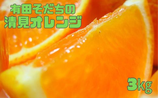 和歌山県太地町のふるさと納税 【2023年3月上旬～発送】有田育ちの清見オレンジ(ご家庭用)　約3kg