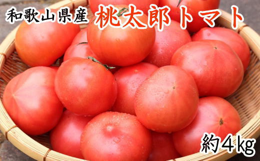 [新鮮]和歌山県産桃太郎トマト約4kg(L〜2Lサイズおまかせ)