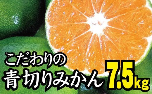 2023年秋頃発送予約分】【農家直送】こだわりの青切りみかん 約7.5kg