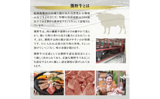 希少和牛 熊野牛ロース すき焼き用 約500g<冷蔵> / 和歌山県古座川町