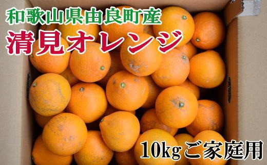 [訳あり・ご家庭用]和歌山由良町産の濃厚清見オレンジ約10kg ※2025年2月中旬〜2025年2月下旬頃に発送予定(お届け日指定不可)