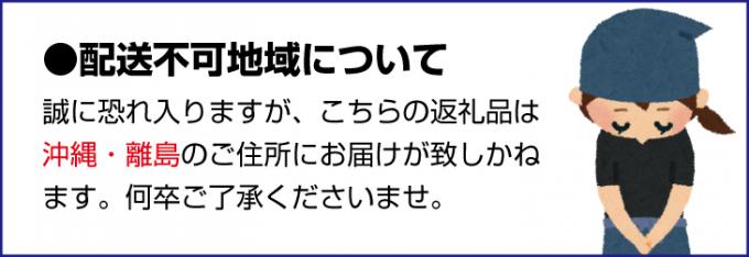 お試し用】吊るし柿用たねなし渋柿(T字枝または吊るしクリップ付)1.5