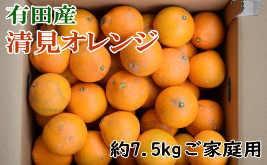 [訳ありご家庭用]有田産清見オレンジ約7.5kg(サイズおまかせまたは混合) ※2024年2月上旬〜3月下旬頃順次発送予定(日付指定不可)