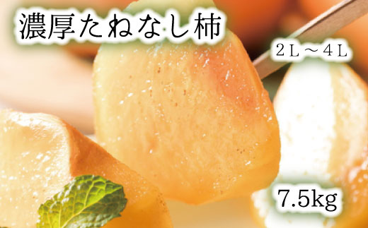 [秋の美味][和歌山ブランド] 濃厚たねなし柿 秀品 2L〜4Lサイズ 約7.5kg入り