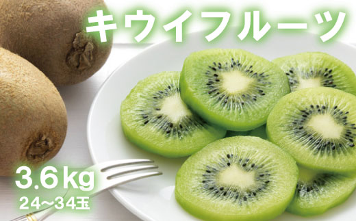 [人気]和歌山県産 厳選! 濃厚キウイフルーツ 秀品 24〜36玉 (約3.6kg)