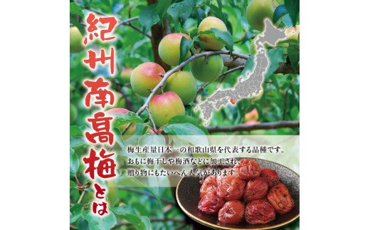 訳あり 紀州南高梅 <つぶれ梅>かつお【ハチミツ入】塩分10%(750g