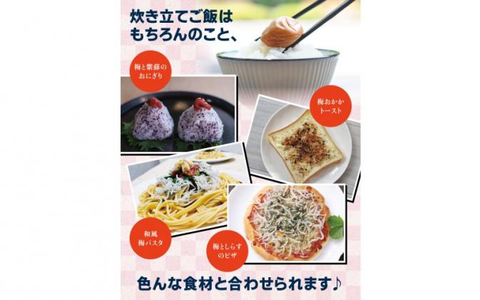 訳あり 紀州南高梅 <つぶれ梅>かつお【ハチミツ入】塩分10%(750g