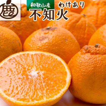 家庭用 不知火4.8kg+90g(傷み補償分)【デコポンと同品種・人気の春