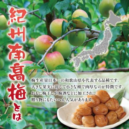 紀州南高梅 つぶれ梅 うす塩【ハチミツ入】塩分10%(500g)なかやまさん