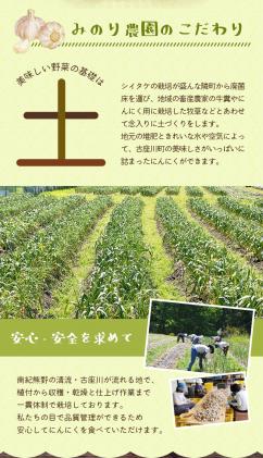 和歌山県古座川町のふるさと納税 みのり農園の乾燥にんにく【訳あり】1kg