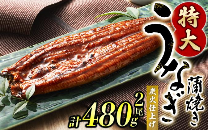 うなぎ蒲焼 2尾 計約480g (タレ・山椒付き) 1尾で約240gのビッグサイズ