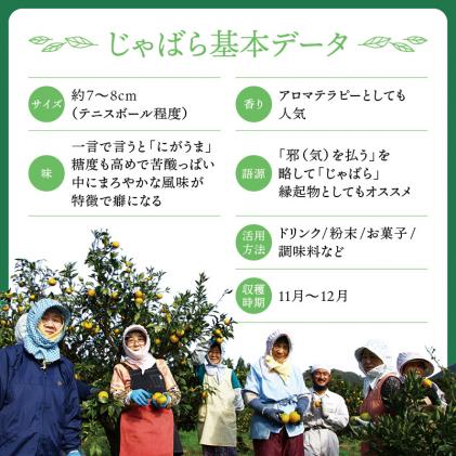 和歌山県北山村のふるさと納税 じゃばらスタッフおすすめセット
