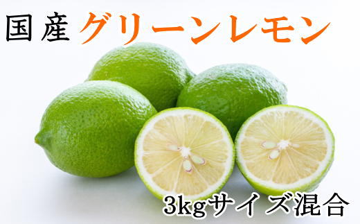 産直】和歌山産グリーンレモン約3kg(サイズ混合) ※2023年10月下旬