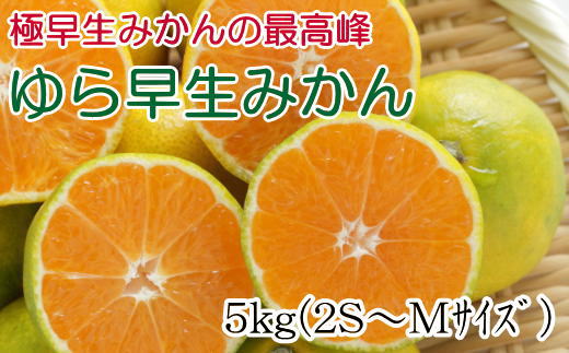 極早生みかんの逸品】有田産ゆら早生みかん 約5kg※2024年10月中旬