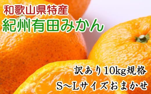 訳あり規格 紀州有田みかん10kg S Lサイズおまかせ 21年11月中旬より順次発送 和歌山県北山村 セゾンのふるさと納税