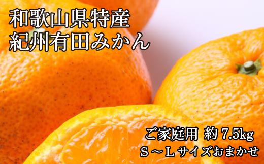 和歌山有田みかん7.5kg ご家庭用 (S〜Lサイズおまかせ )※2023年11月中旬より順次発送(お届け日指定不可)