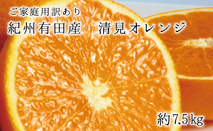 紀州有田産清見オレンジ　7.5kg ※2024年3月下旬頃〜2024年4月下旬頃に順次発送予定(お届け日指定不可)